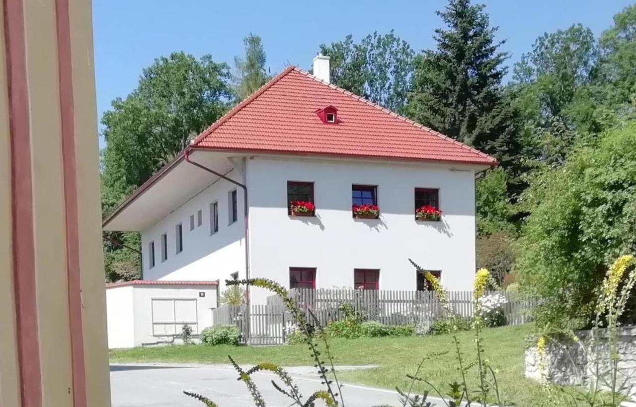 Ubytovani Praschlhaus Horní Planá Εξωτερικό φωτογραφία