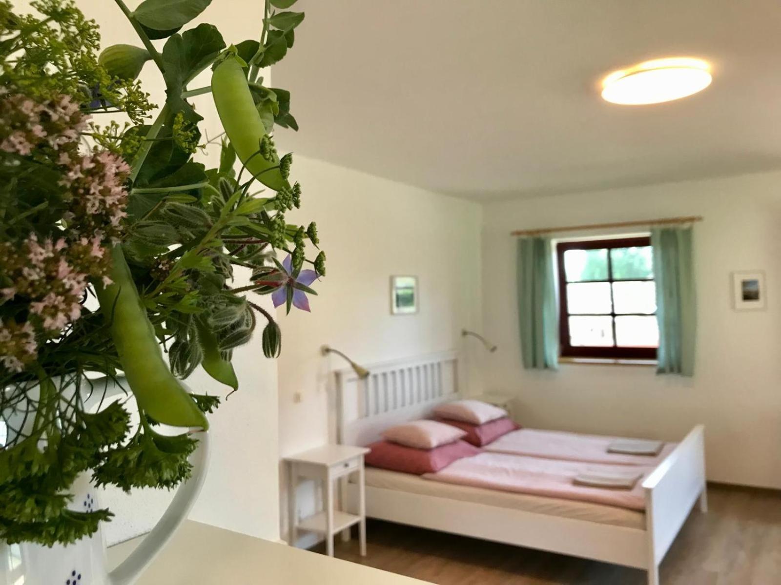 Ubytovani Praschlhaus Horní Planá Εξωτερικό φωτογραφία