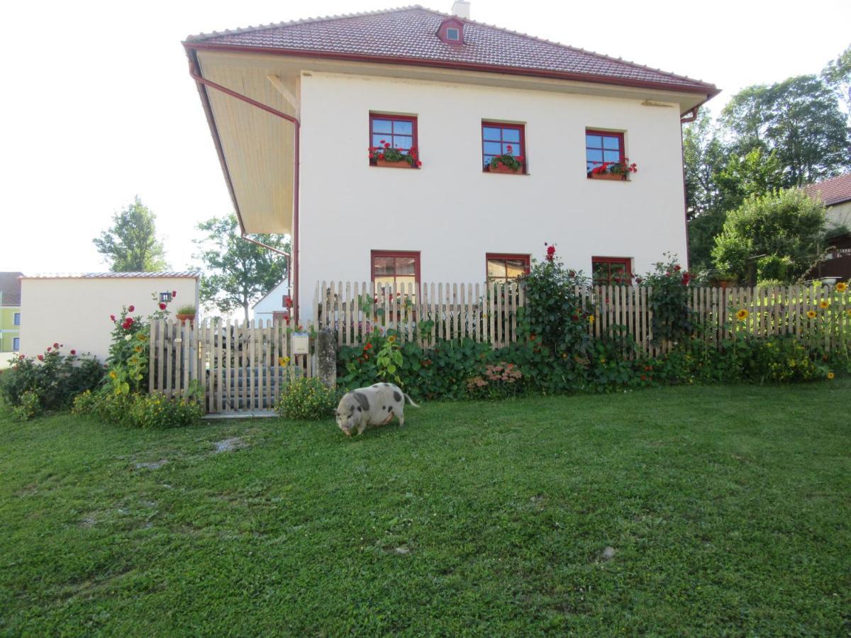 Ubytovani Praschlhaus Horní Planá Εξωτερικό φωτογραφία